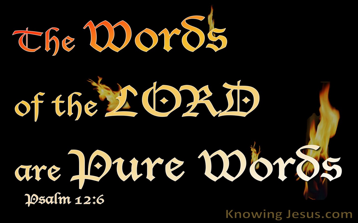 Psalm 12:6 The Words Of The Lord Are Pure (black)
